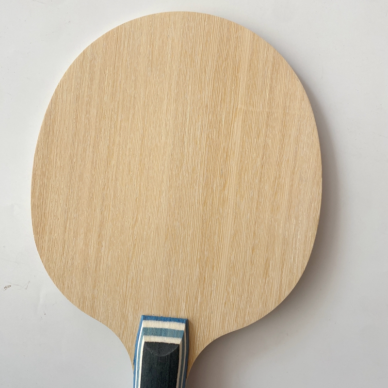 Raket Tenis Meja Lemuria VIS S - Table Tennis Forehand ulasan dan harga