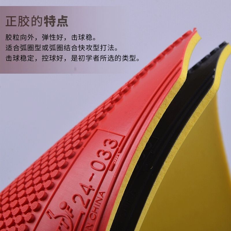 Karet Tenis Meja DHS Dragon Sh - Table Tennis Association ulasan dan harga